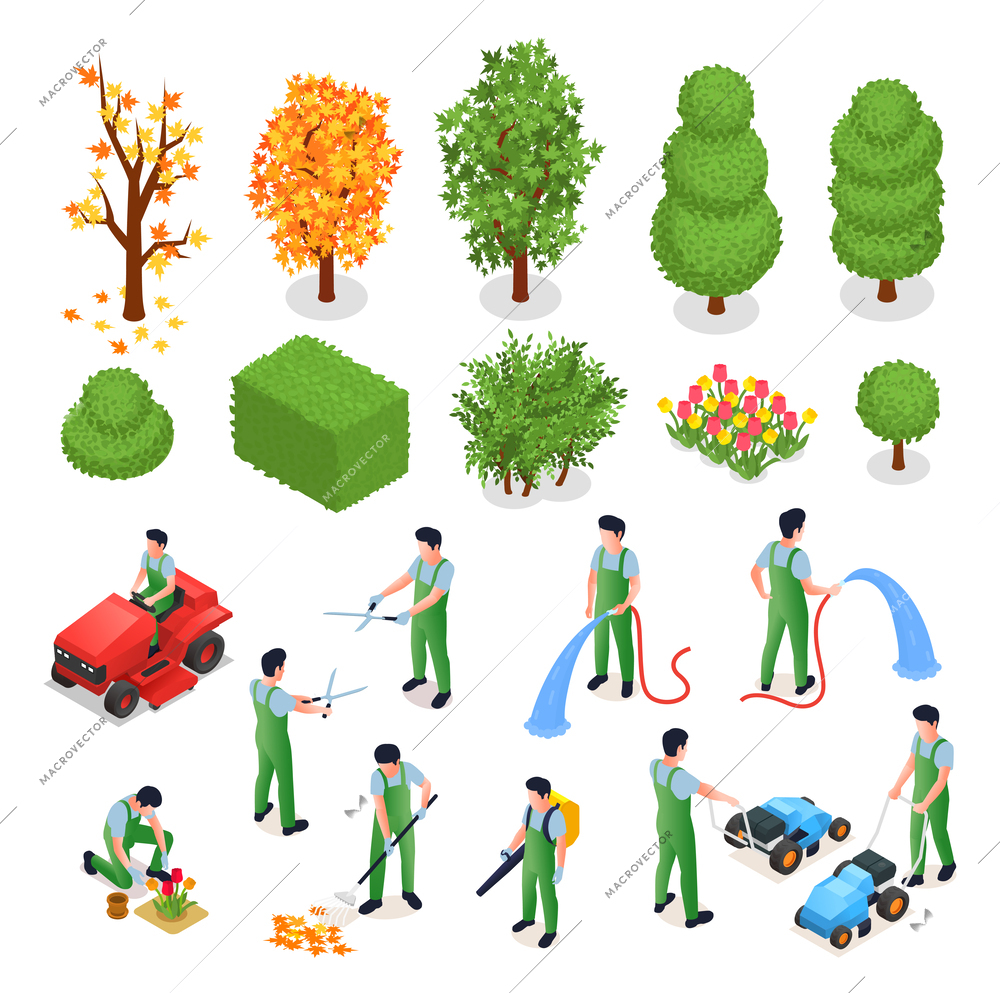 Professional gardening isometric icons with elements of landscape design and people working outdoor isolated vector illustration