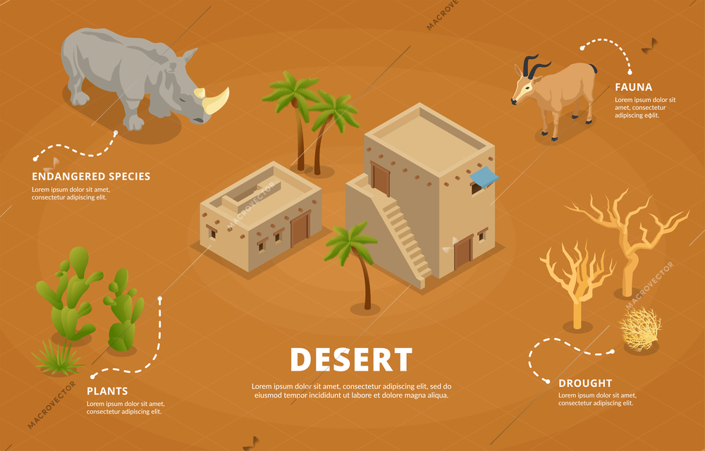 Desert isometric infographics background with representatives of endangered species of fauna and plants withstanding drought vector illustration