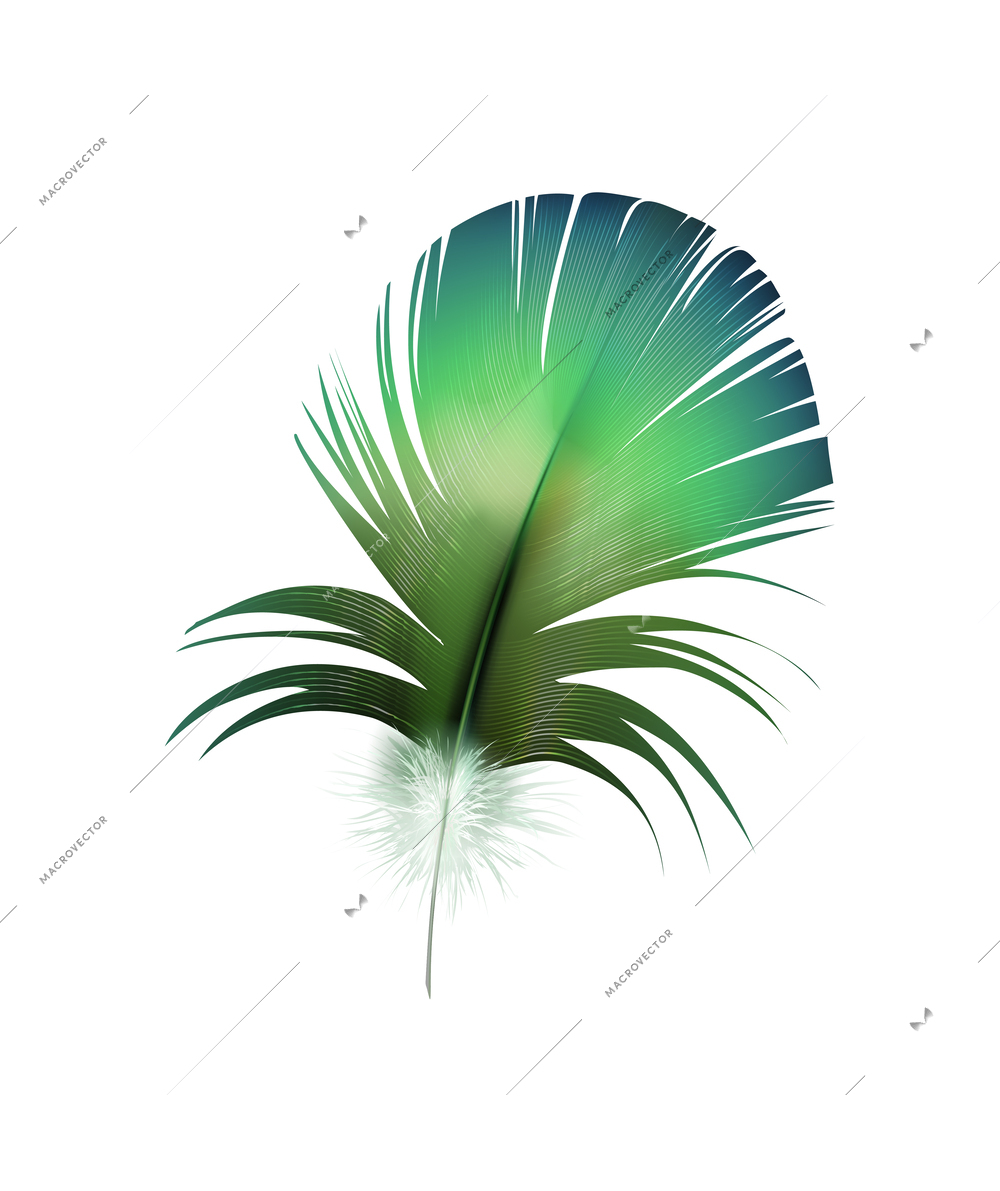 Feathers realistic composition with exotic birds natural dyed spotted mix colored realistic image vector illustration