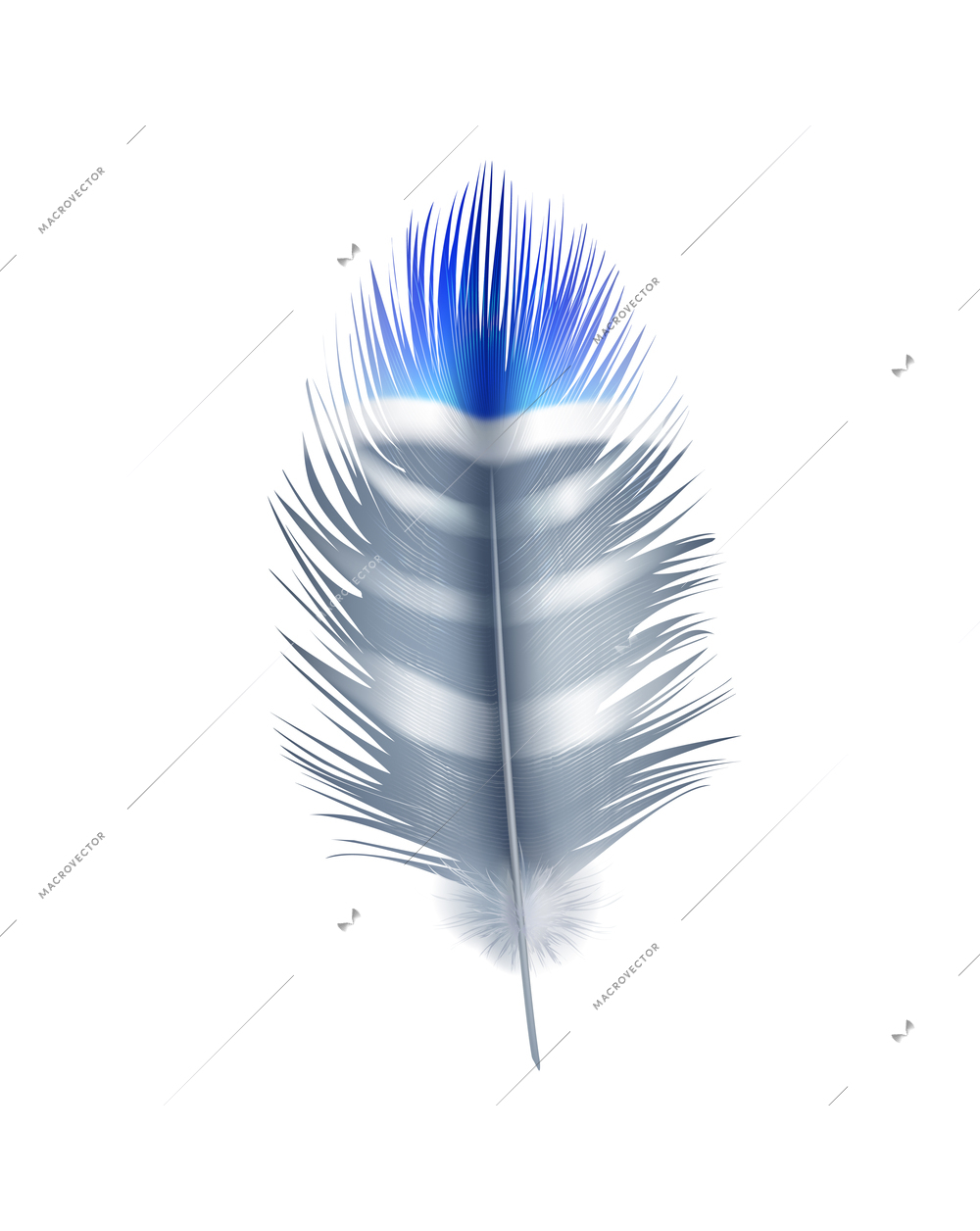 Feathers realistic composition with exotic birds natural dyed spotted mix colored realistic image vector illustration