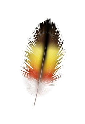 Feathers realistic composition with exotic birds natural dyed spotted mix colored realistic image vector illustration