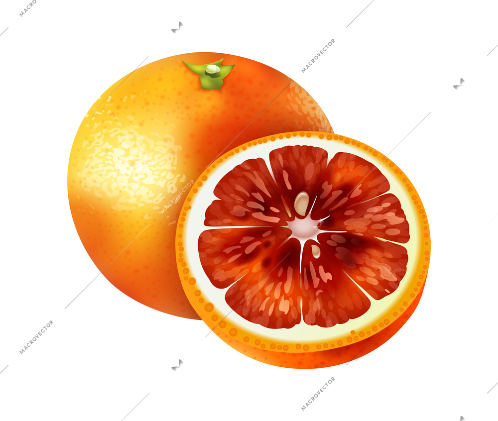 Realistic citrus fruit composition with isolated view of whole and half fruits on blank background vector illustration