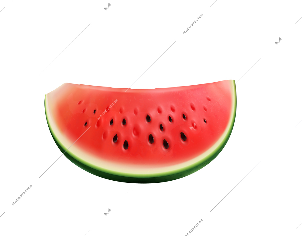 Watermelon realistic composition with isolated juicy fruit image on blank background vector illustration