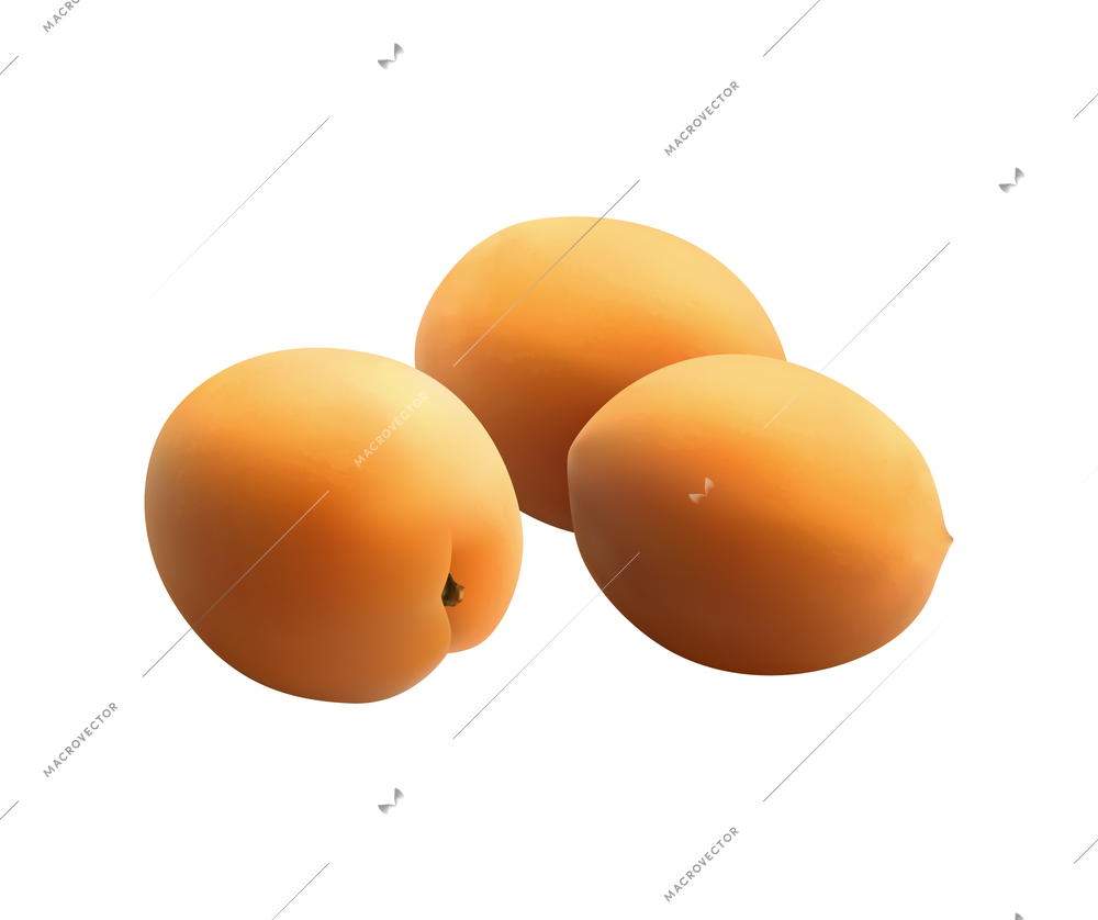 Fruits realistic composition with isolated photorealistic image of ripe plant on blank background vector illustration