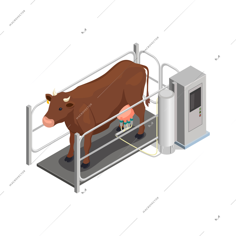 Cheese production isometric composition with factory equipment and cow isolated vector illustration