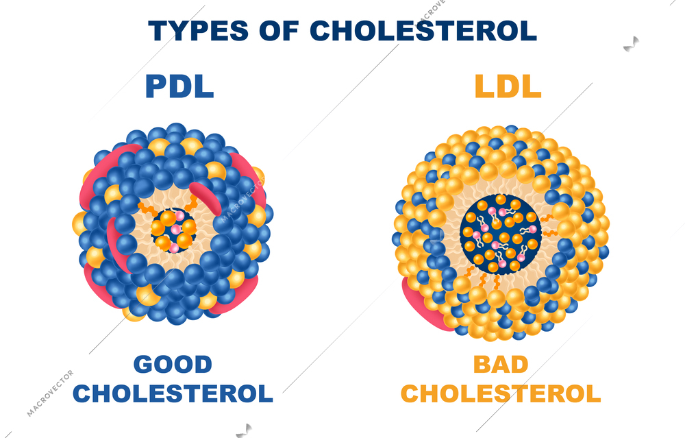 Cholesterol types realistic set with good and bad symbols isolated vector illustration