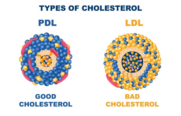 Cholesterol types realistic set with good and bad symbols isolated vector illustration