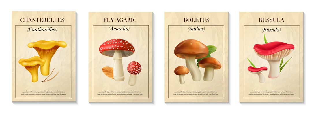 Mushrooms realistic poster set with boletus and russula isolated vector illustration