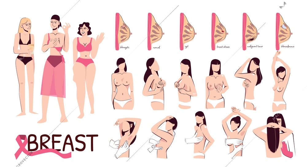 Breast Woman Flat Set Cross Sections Vector Illustration 107008