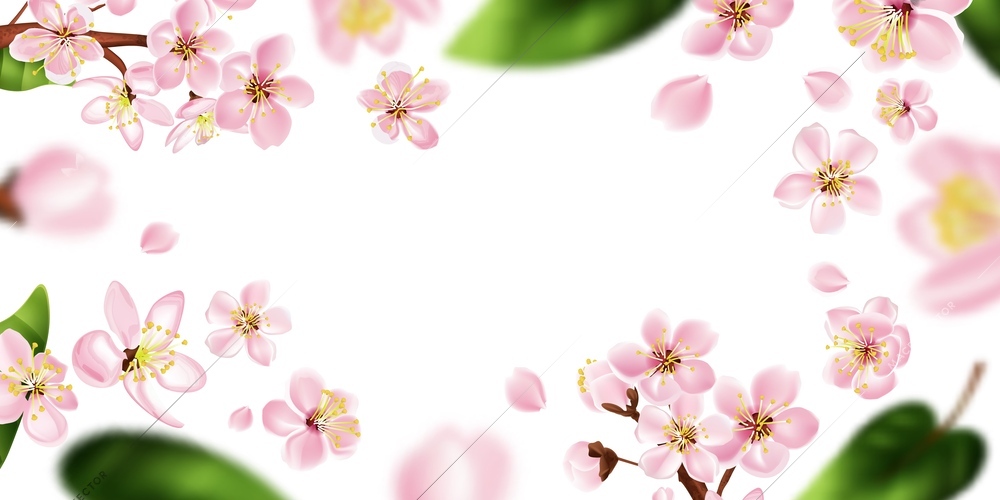 Fruit tree branch frame with white flowers realistic vector illustration