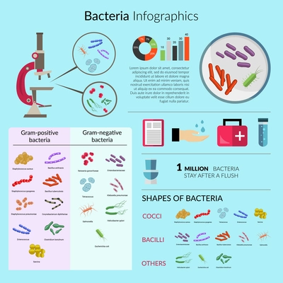 Bacteria and microorganisms infographic set with microscope and medical charts vector illustration