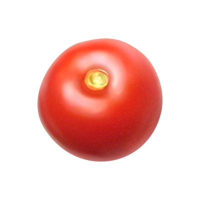 Fresh red tomato on white background realistic vector illustration