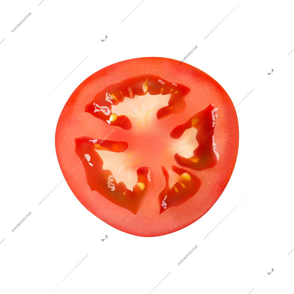 Realistic slice of fresh red tomato against white background vector illustration