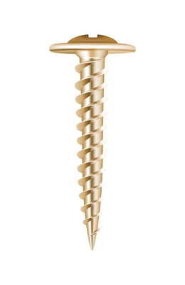 Golden screw on white background realistic vector illustration