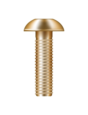 Realistic shiny golden metal screw vector illustration