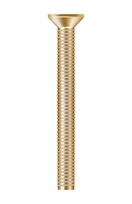 Realistic golden metal screw vector illustration