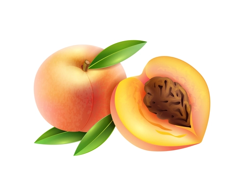 Fresh whole and cut peaches with leaves realistic vector illustration