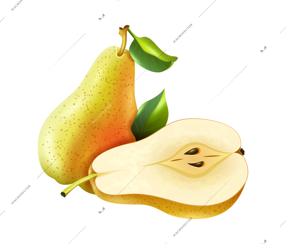 Realistic fresh whole and cut pear with leaves vector illustration