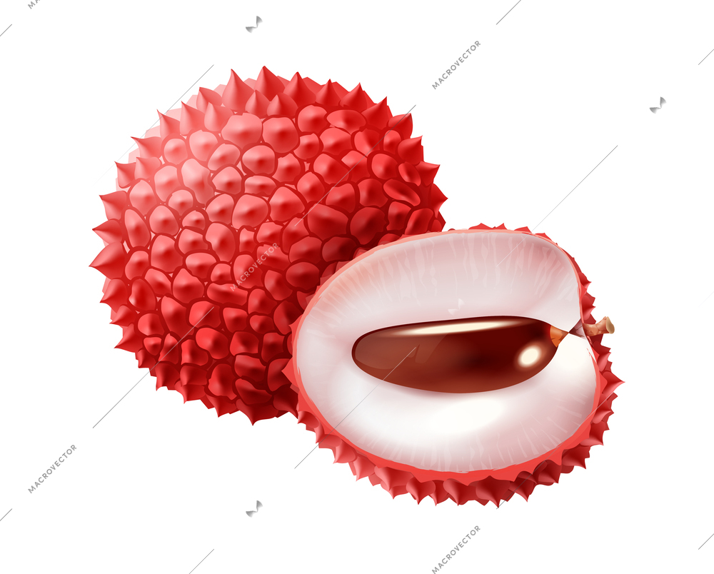 Realistic whole and cut lichi on white background vector illustration