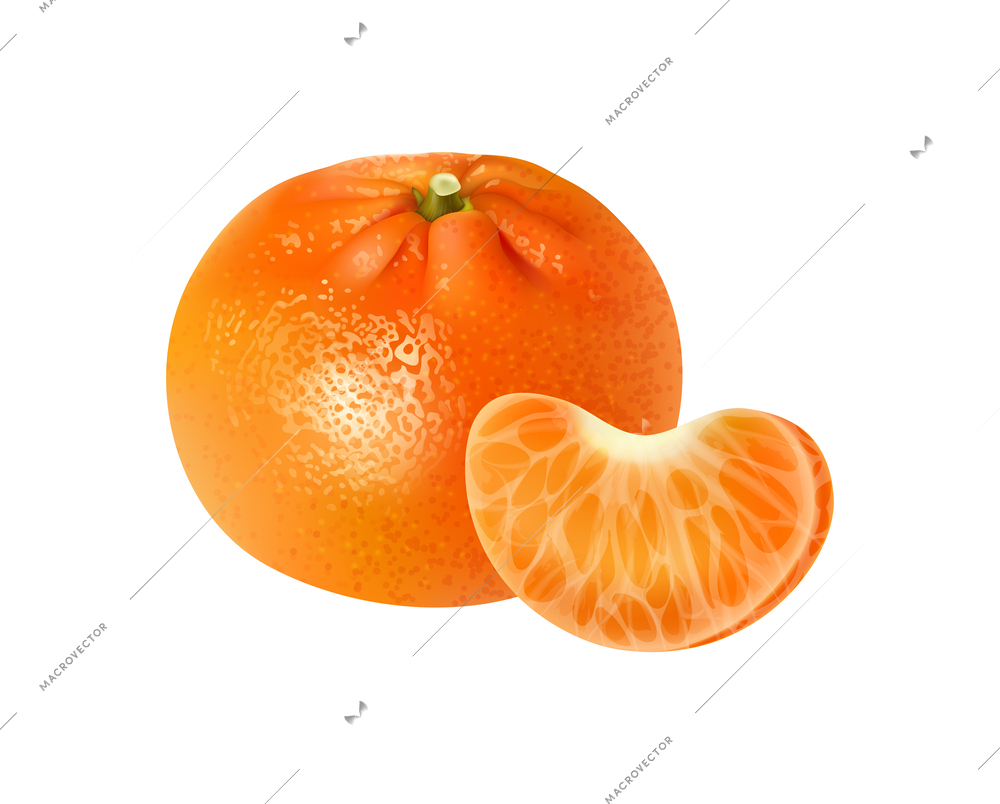 Realistic fresh whole tangerine with segment vector illustration