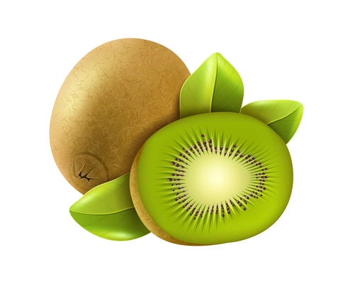 Realistic fresh whole and cut kiwi with green leaves vector illustration