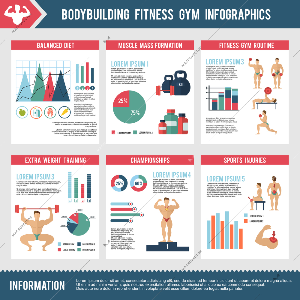 Bodybuilding fitness gym infographics set with charts and sport icons vector illustration