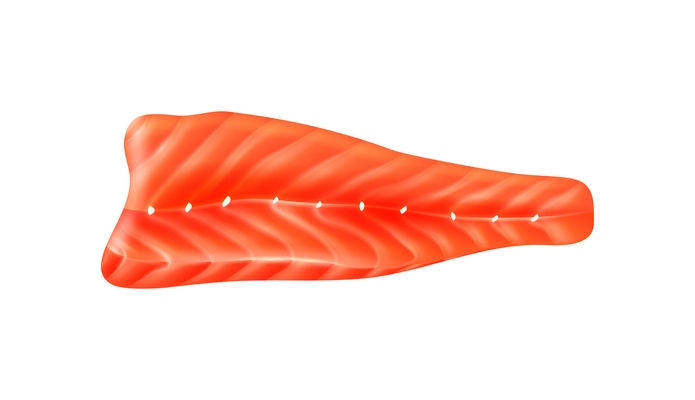 Realistic fresh raw salmon fish fillet vector illustration