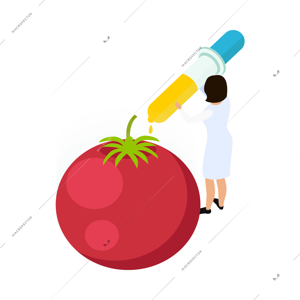 Isometric artificial food icon with tomato and lab worker carrying out experiment 3d vector illustration