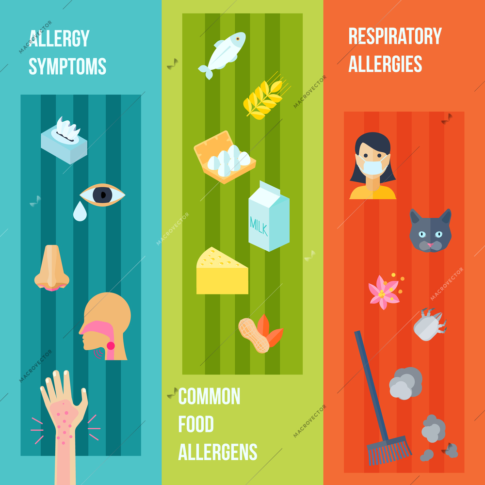 Allergy flat vertical banner set with respiratory symptoms food allergens elements isolated vector illustration