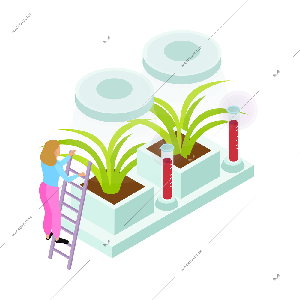 Isometric artificial food icon with plants growing in laboratory 3d vector illustration