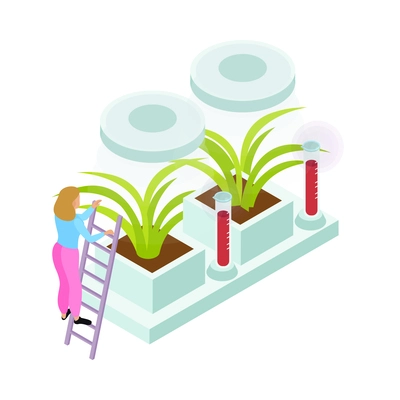 Isometric artificial food icon with plants growing in laboratory 3d vector illustration