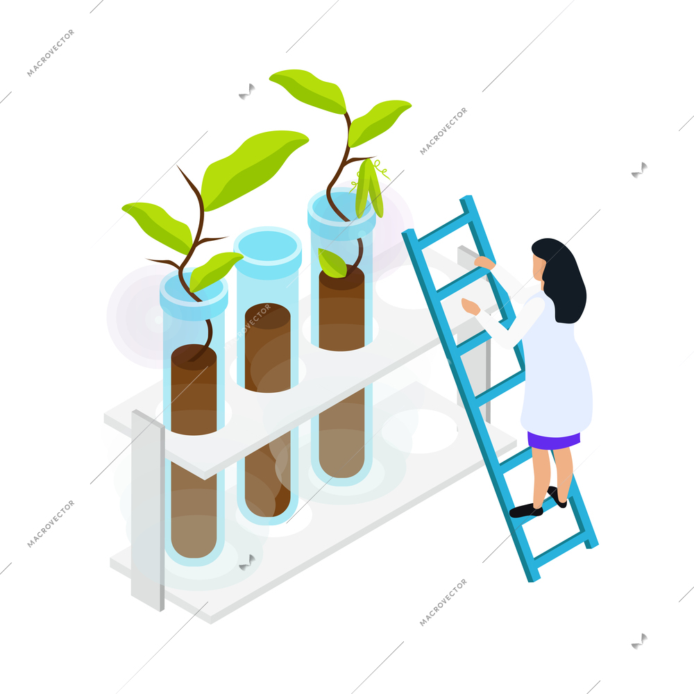 Isometric artificial food icon with green plants in laboratory tubes and female character 3d vector illustration