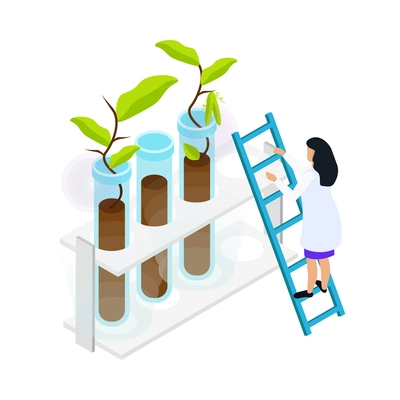 Isometric artificial food icon with green plants in laboratory tubes and female character 3d vector illustration