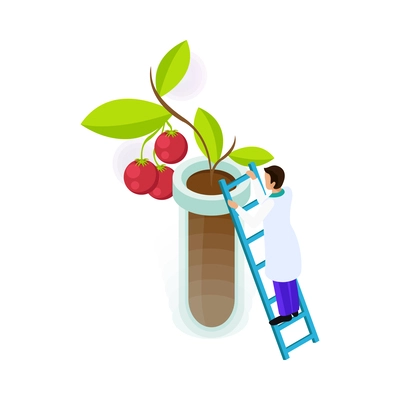 Isometric artificial food icon with tomato plant growing in tube 3d vector illustration