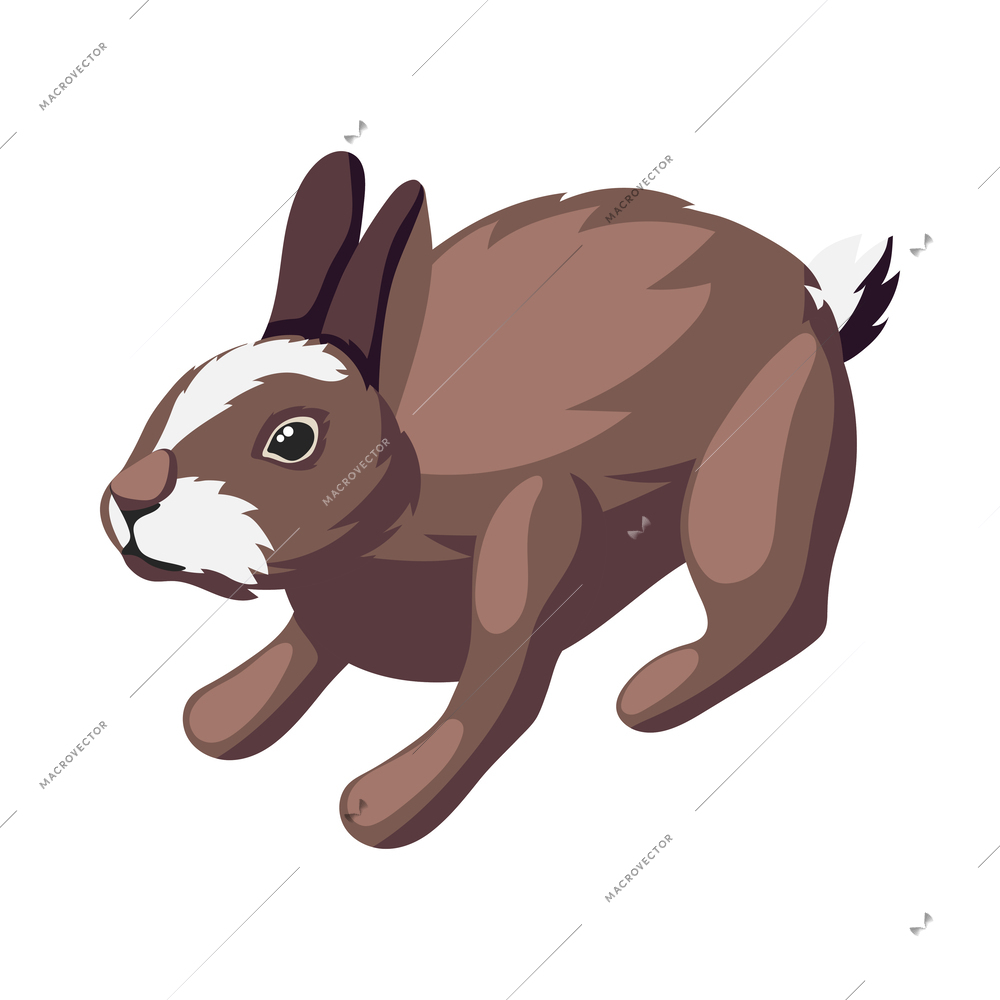 Isometric wild brown hare on white background 3d vector illustration