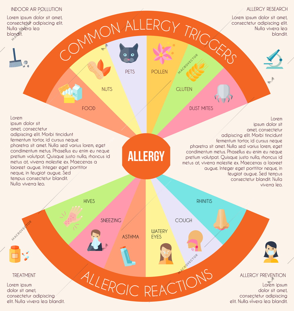 Allergy infographics set with allergens and disease treatment symbols vector illustration