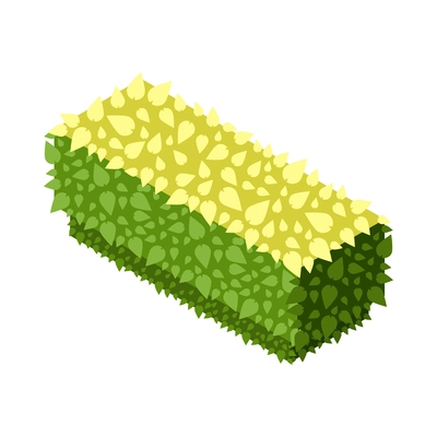 Green hedge isometric icon for landscape design 3d vector illustration