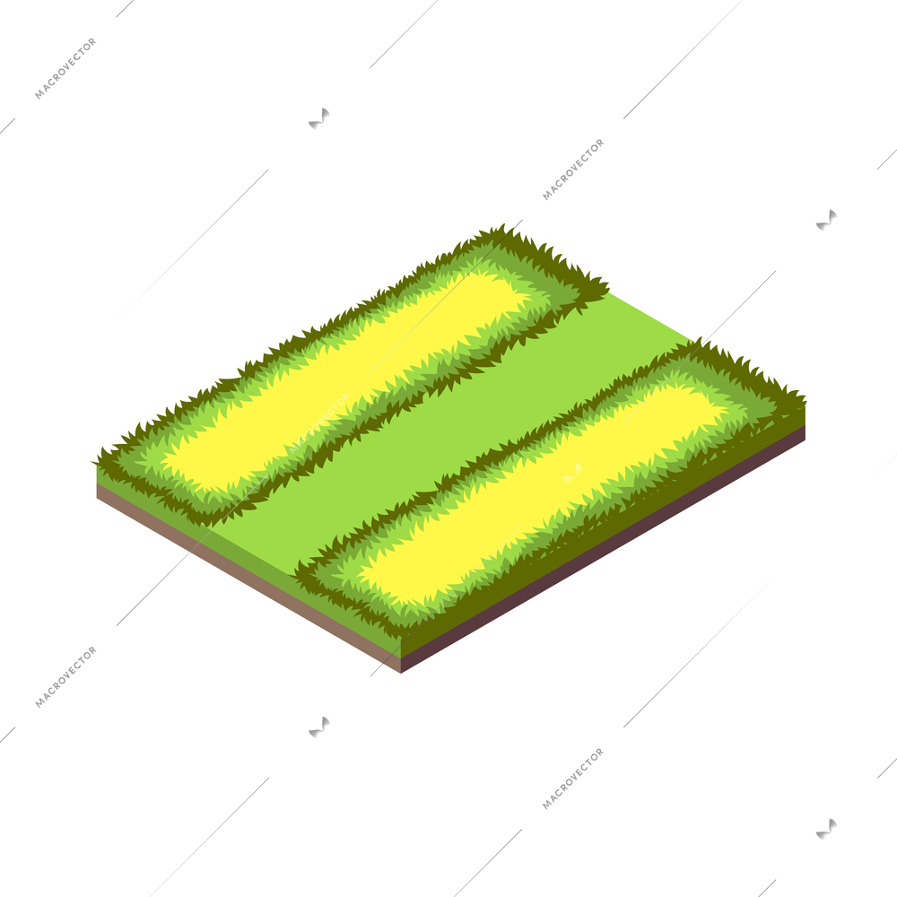 Landscaping garden lawn isometric element 3d vector illustration