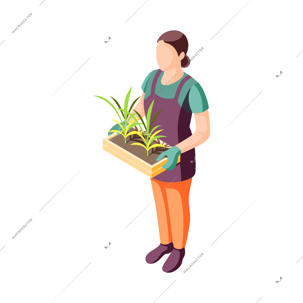 Landscaping isometric icon with female gardener holding wooden box with green sprouts 3d vector illustration