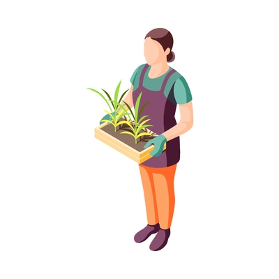 Landscaping isometric icon with female gardener holding wooden box with green sprouts 3d vector illustration