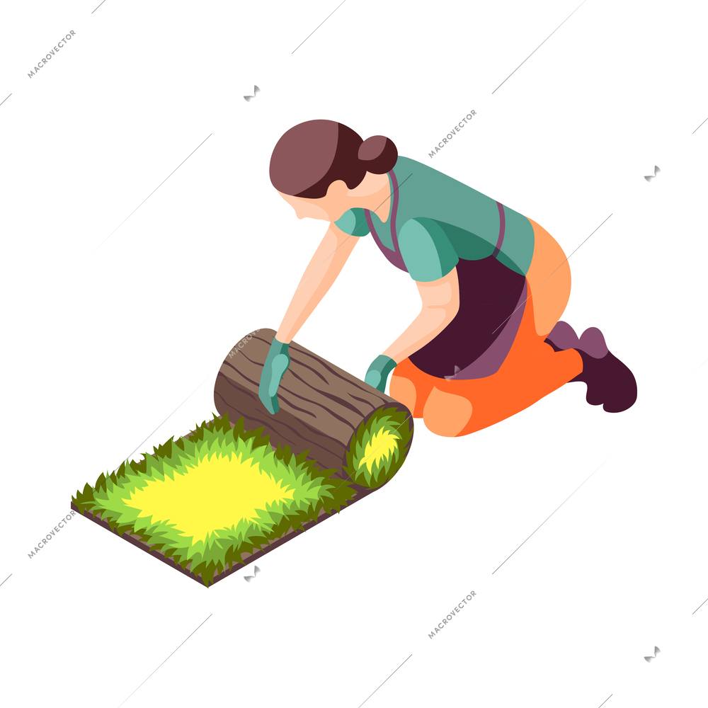 Landscaping isometric icon with female gardener laying lawn roll 3d vector illustration