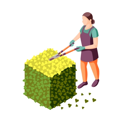 Landscaping isometric icon with female gardener pruning green shrub vector illustration