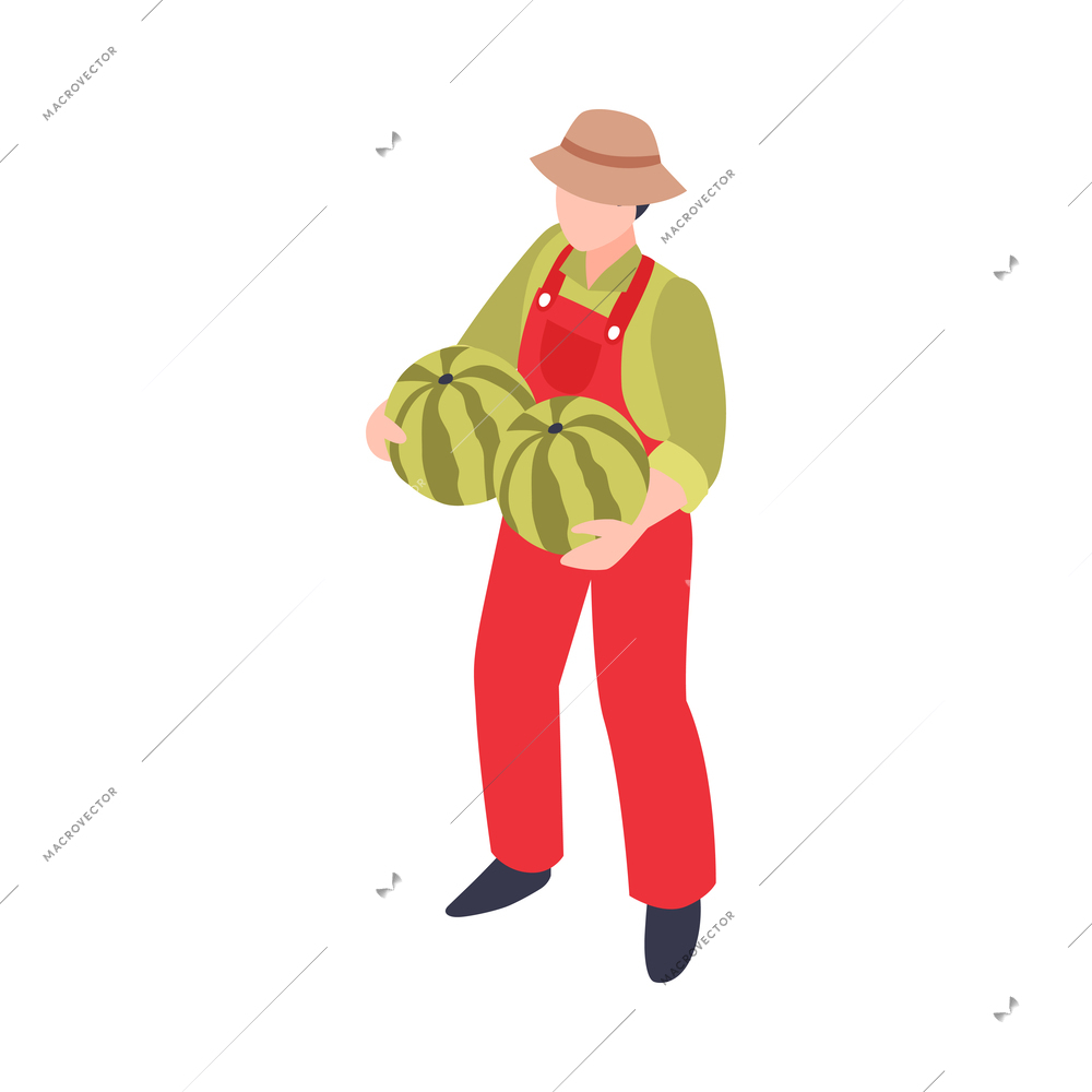 Male farmer holding two ripe watermelons isometric vector illustration