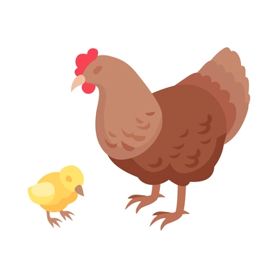 Isometric hen with chick isolated on white background vector illustration