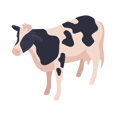 Isometric black and white farm cow vector illustration