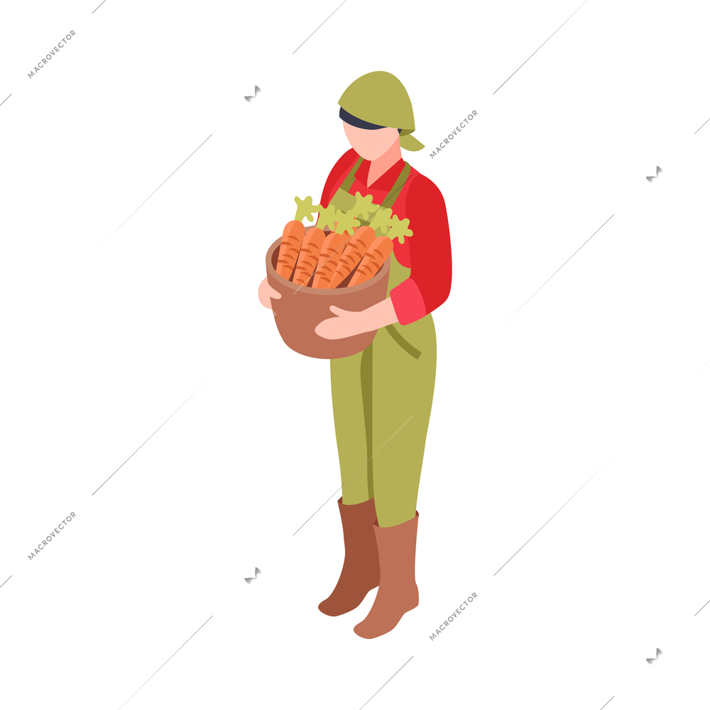 Female farmer holding ripe carrots 3d isometric vector illustration