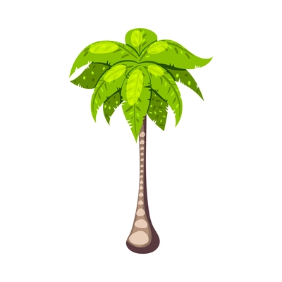 Isometric palm tree against white background 3d vector illustration