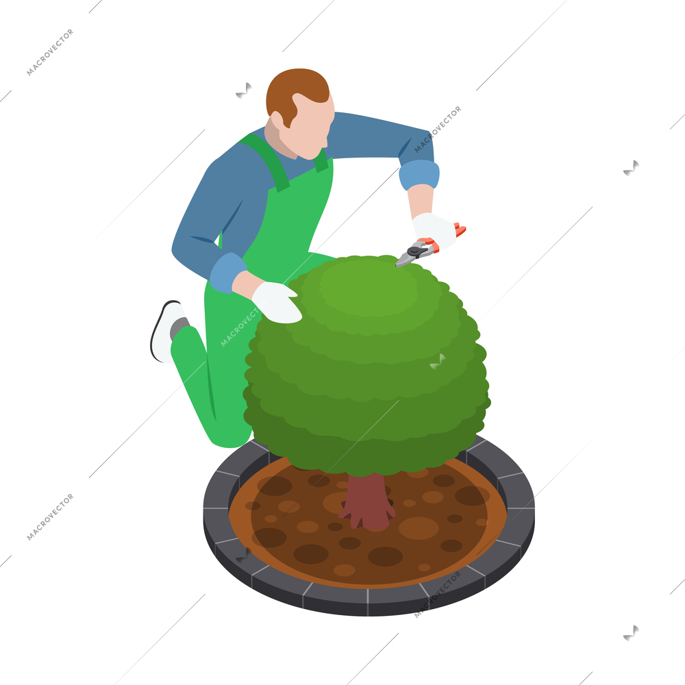 Male gardener pruning green tree 3d isometric vector illustration
