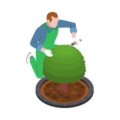 Male gardener pruning green tree 3d isometric vector illustration