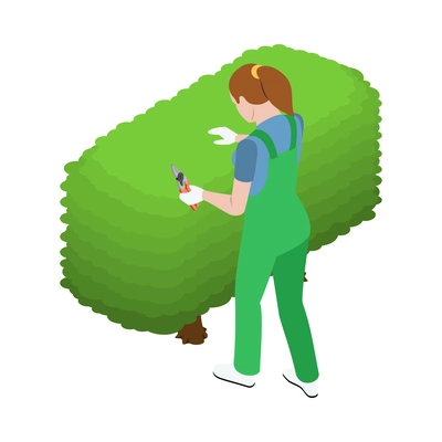 Female gardener in uniform pruning green hedge 3d isometric vector illustration